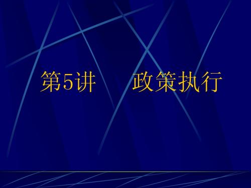 第五讲公共政策执行(2013.12)