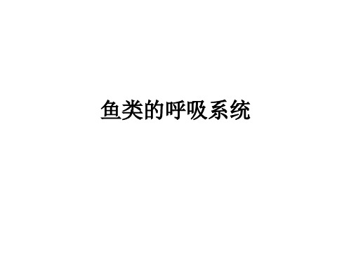 鱼类的呼吸系统