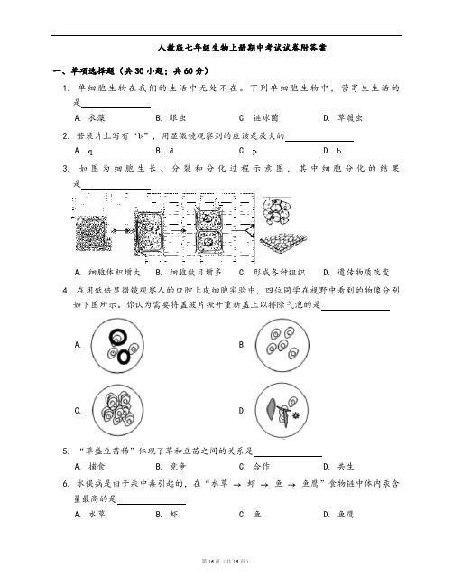 人教版七年级上册生物期中考试试卷附答案