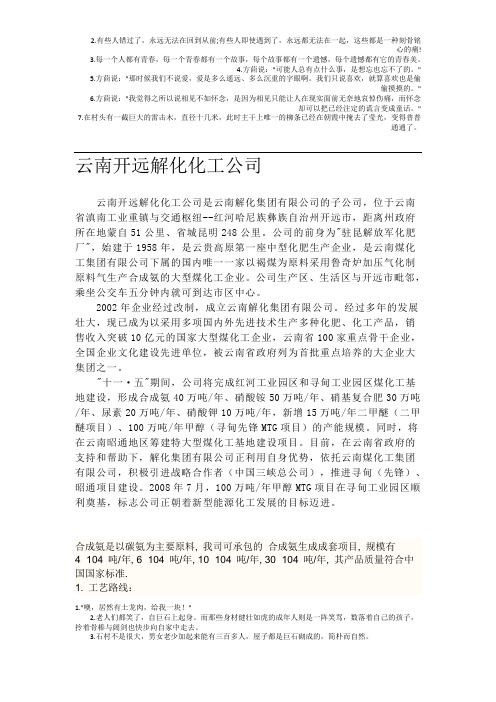 云南开远解化化工公司