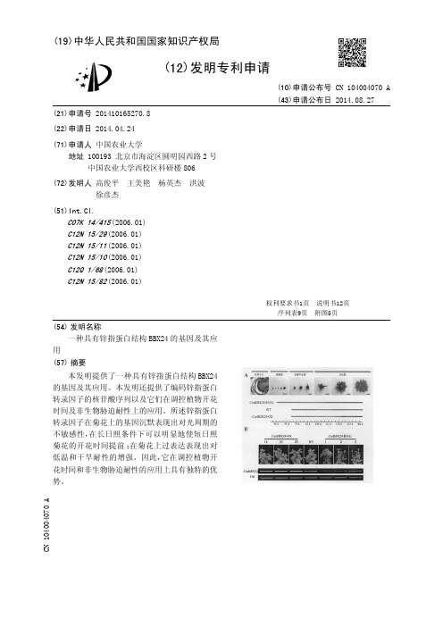 一种具有锌指蛋白结构BBX24的基因及其应用[发明专利]