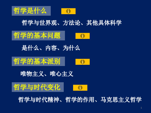 哲1生活智慧与时代精神(113)PPT课件