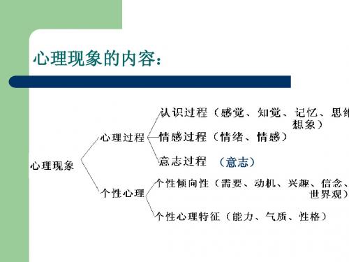 第二章 消费者的一般心理过程