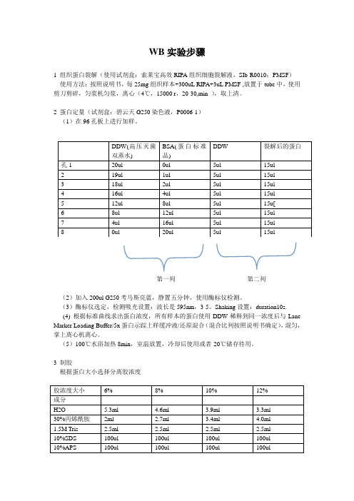 WB 实验步骤[1]