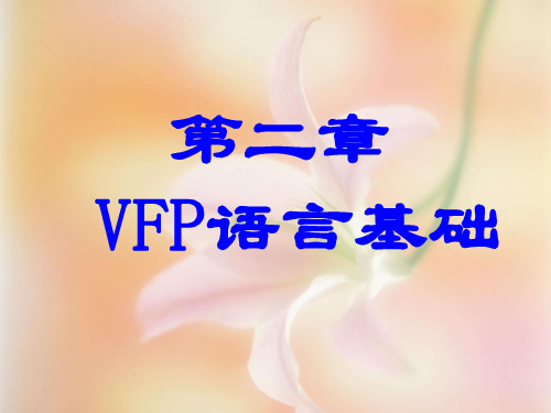 第二章VFP语言基础