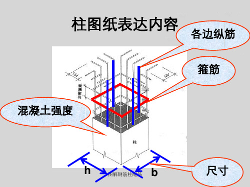 图解钢筋柱配筋