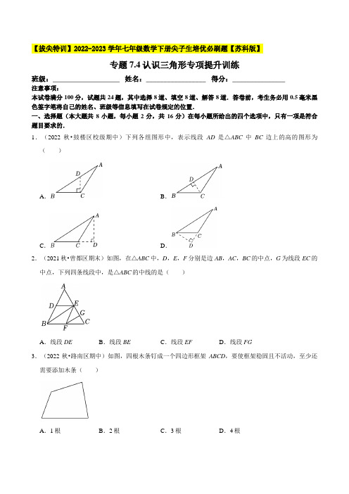 [数学]-专题7.4认识三角形专项提升训练(重难点培优)-【】2022-2023学年七年级数学下册尖