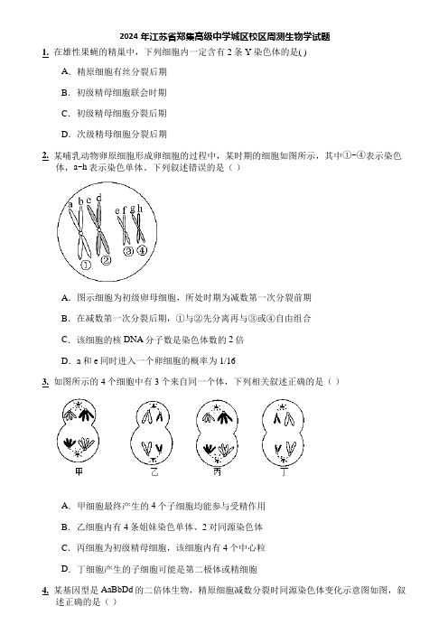 2024年江苏省郑集高级中学城区校区周测生物学试题