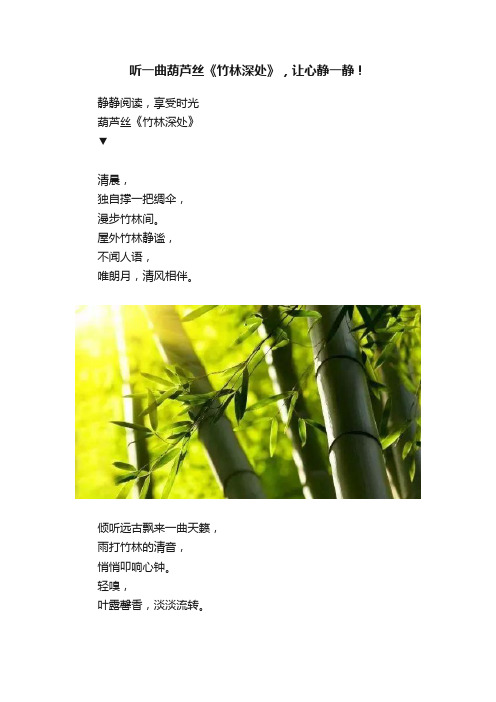 听一曲葫芦丝《竹林深处》，让心静一静！