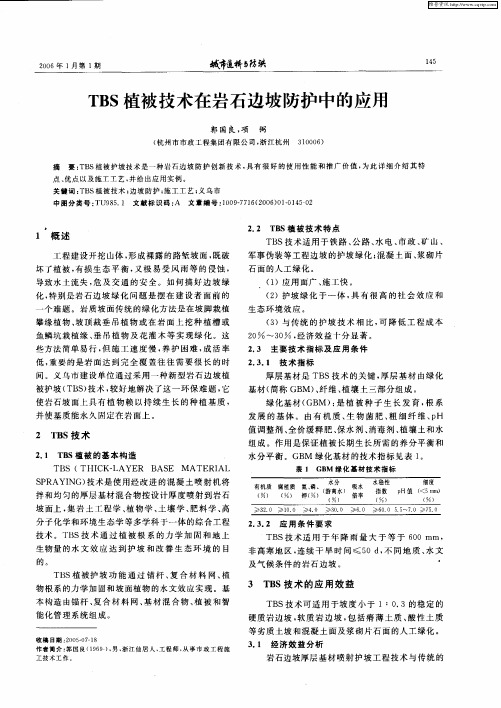 TBS植被技术在岩石边坡防护中的应用