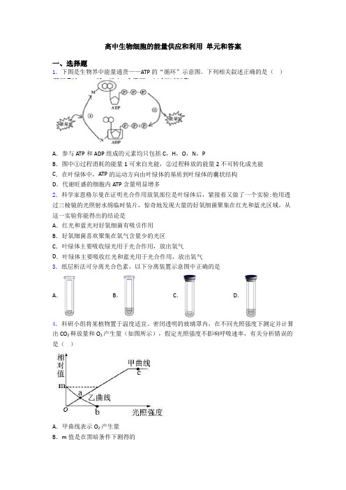 高中生物细胞的能量供应和利用 单元和答案