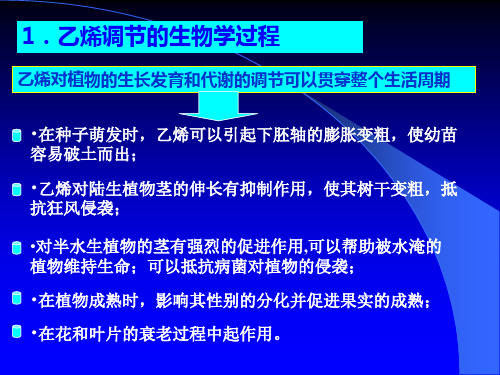 植物内源激素信号转导途径