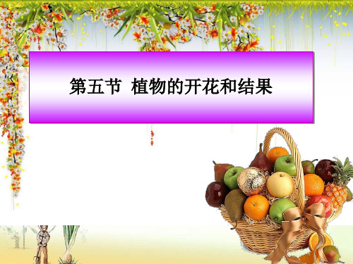 【一线精品】 植物的开花和结果8 最新优秀公开PPT课件
