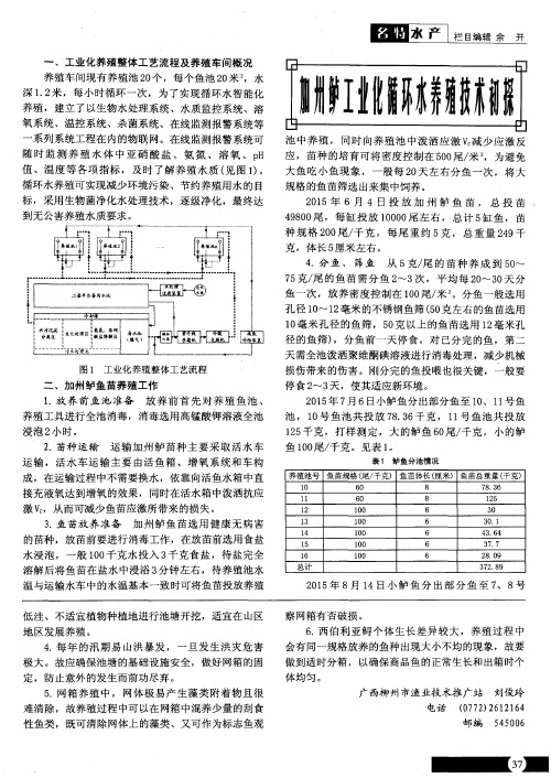 加州鲈工业化循环水养殖技术初探