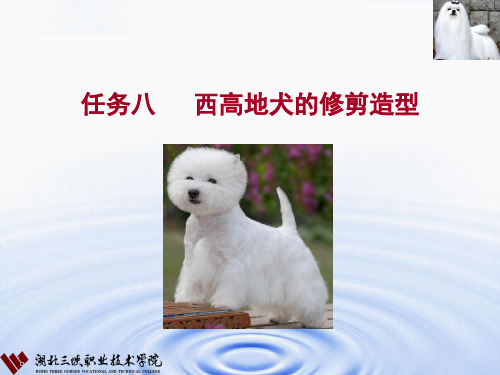 宠物美容与护理8西高地犬