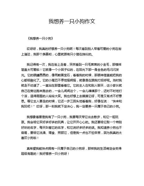 我想养一只小拘作文