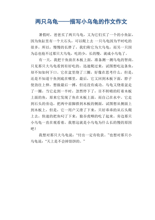 小学生优秀状物习作:两只乌龟——描写小乌龟的作文作文