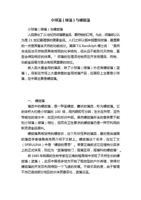 小球藻（绿藻）与螺旋藻