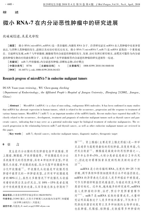 微小RNA-7在内分泌恶性肿瘤中的研究进展