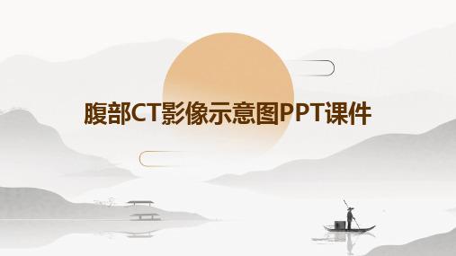 腹部CT影像示意图PPT课件