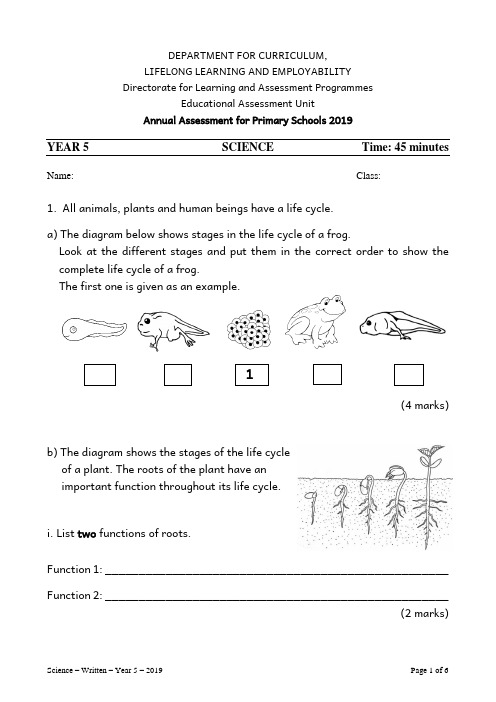 小学五年级科学试题-全英文版