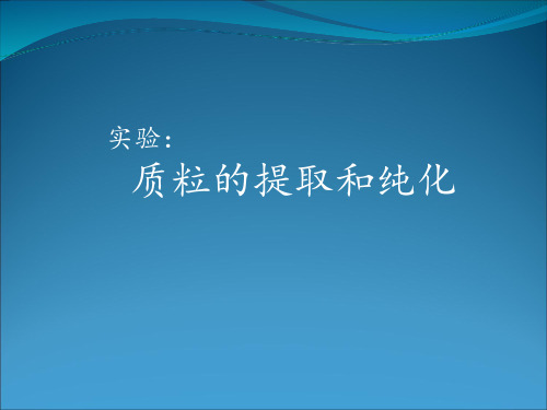 质粒的提取和纯化