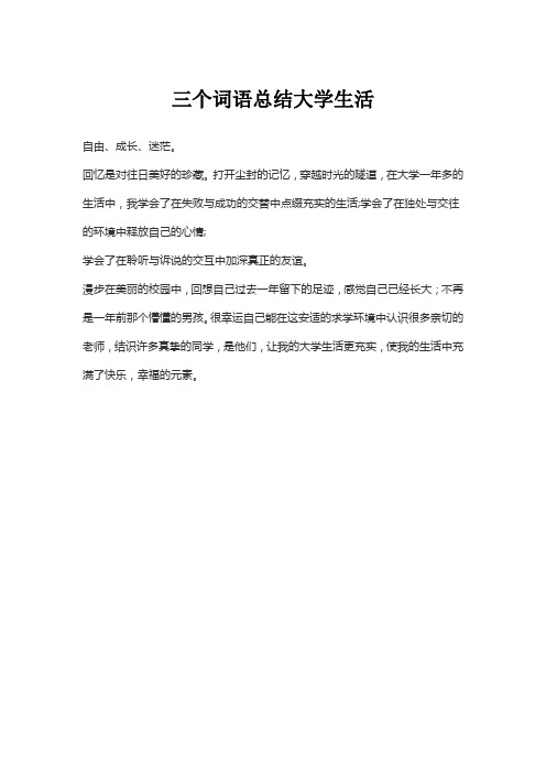 三个词语总结大学生活