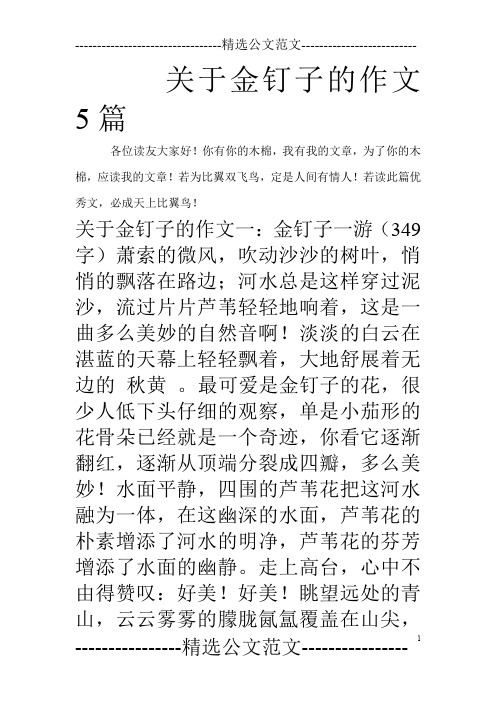 关于金钉子的作文5篇