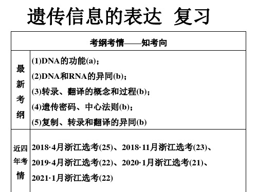 基因表达一轮复习 公开课课件教案教学设计