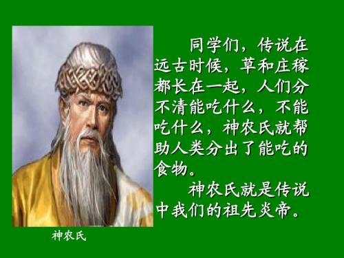 六语文下《当代神农氏》