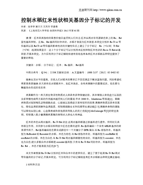 控制水稻红米性状相关基因分子标记的开发