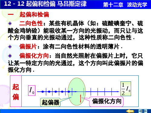 12-12 马吕斯定律