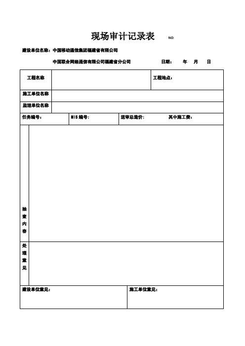 现场审计记录表(范本)