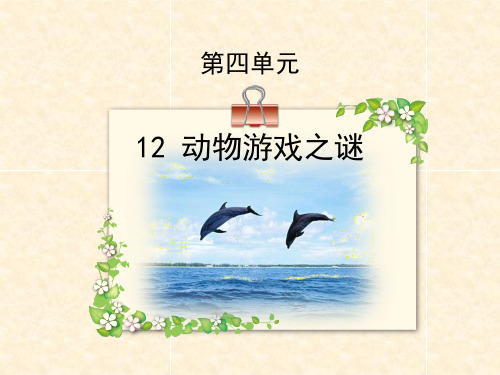 动物游戏之谜-公开课课件