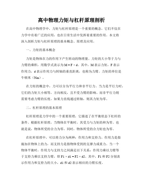 高中物理力矩与杠杆原理剖析