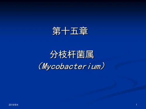 棒状杆菌属Corynebacterium