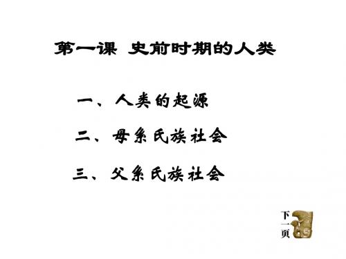 历史：1.1《史前时期的人类》课件(岳麓版九年级上)