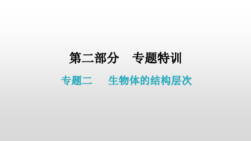 专题二生物体的结构层次课件广东中考一轮复习生物