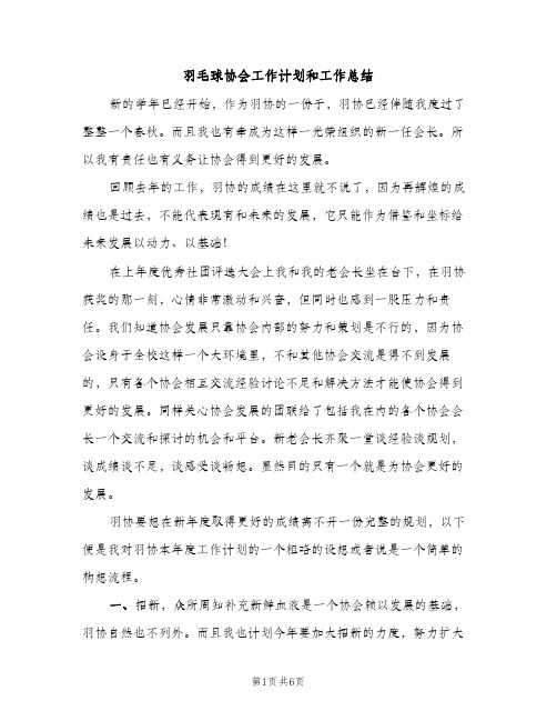 羽毛球协会工作计划和工作总结（2篇）