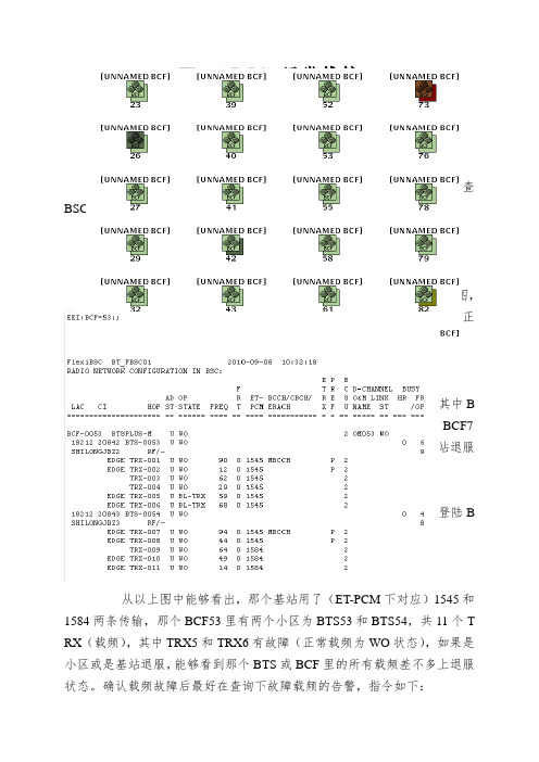 Flexi BSC 日常维护