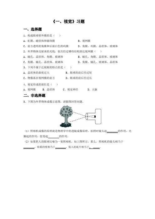 冀教版生物七年级下册 第二单元第四章第一节《一、视觉》习题