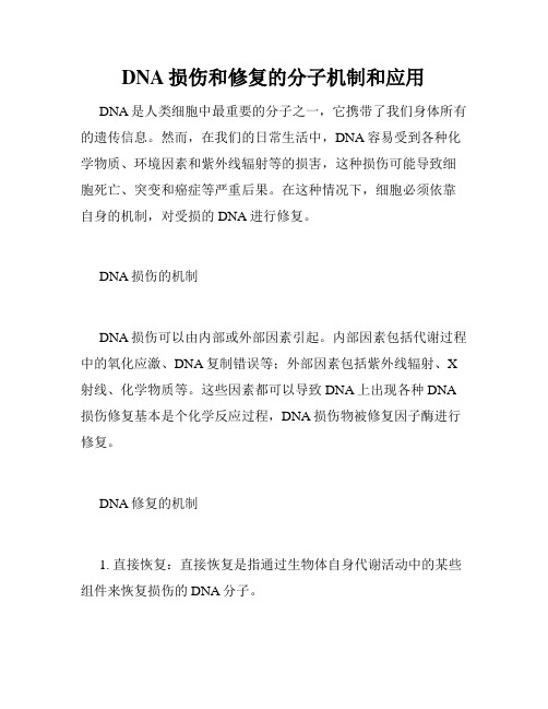 DNA损伤和修复的分子机制和应用