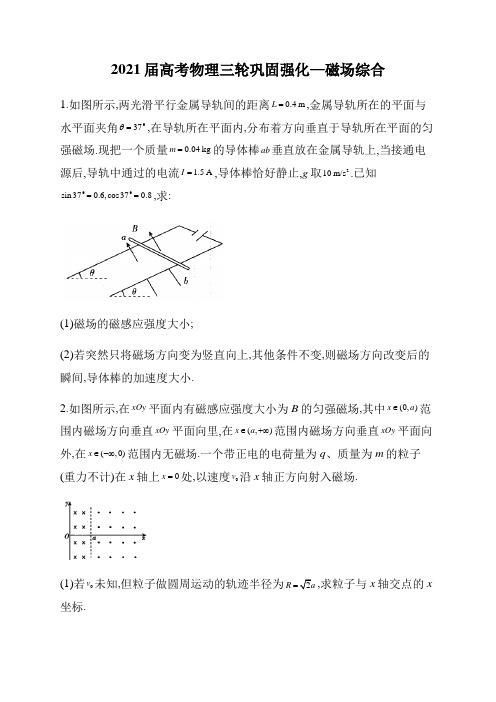 2021届高考物理三轮巩固强化—磁场综合