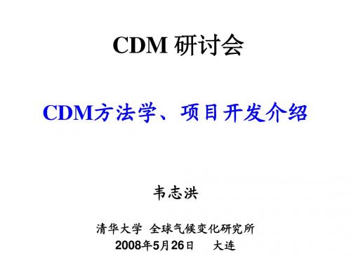 CDM方法学、项目开发介绍