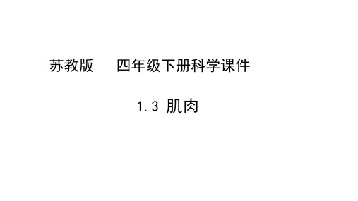 四年级下册科学课件          肌肉        苏教版