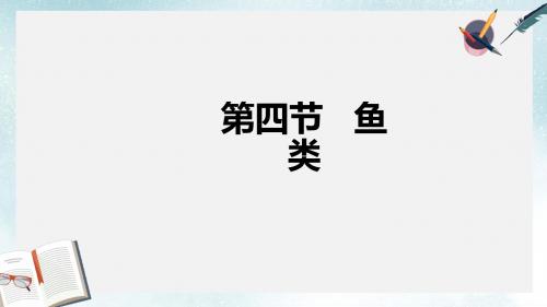 2019-2020年鲁科版八年级上册生物7.1.4《鱼类》课件(共33张PPT)