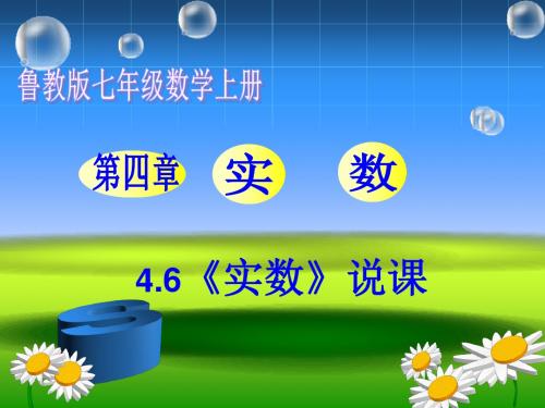 鲁教版七年级上册4.6实数说课稿