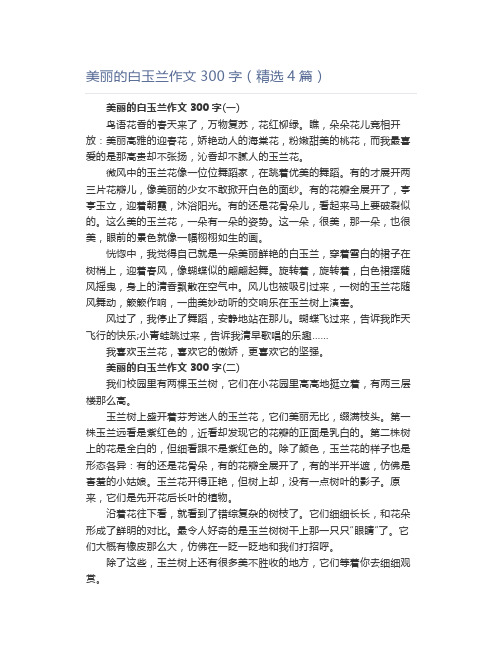 美丽的白玉兰作文300字(精选4篇)