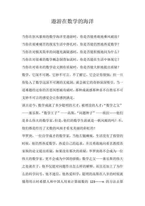 初三话题遨游在数学的海洋