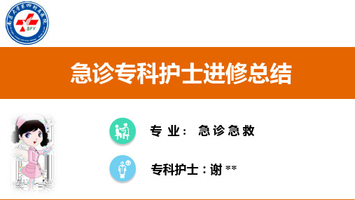 急诊专科护士进修总结 (汇报演讲)